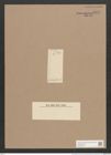 Diatoma elongatum Ag. (de-Toni-Nr.: Genus 58, Species 2539) Zeichnungen Sammlung Grunow Nr. 5077 (NHMW-BOT-W0373348)